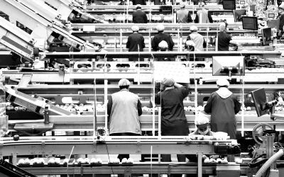 Mitarbeitende an einer automatisierten Sortier- und Verarbeitungslinie